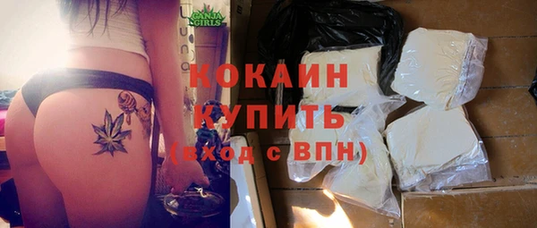 сатива Богородицк