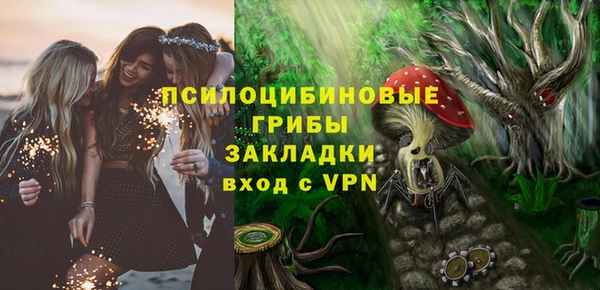 сатива Богородицк