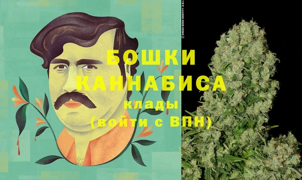сатива Богородицк