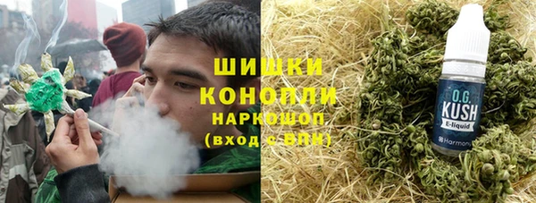 прущий лед Богданович