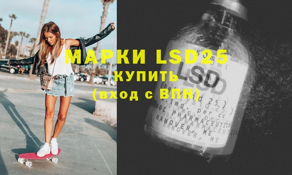 прущий лед Богданович