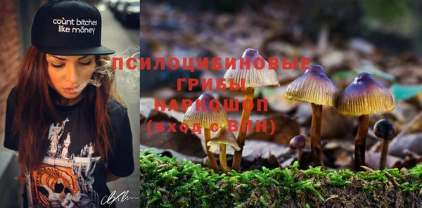 ALPHA PVP Богородск