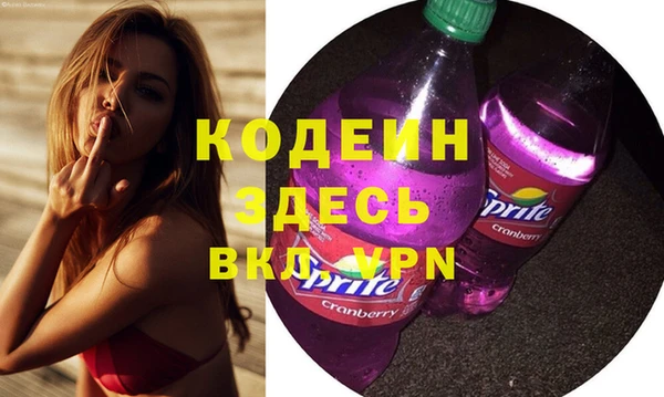 прущий лед Богданович