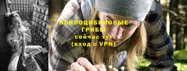ALPHA PVP Богородск