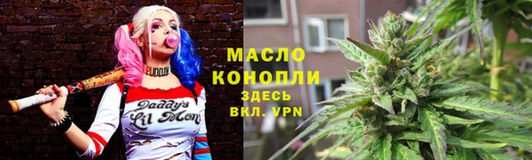 прущий лед Богданович