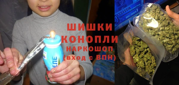 прущий лед Богданович