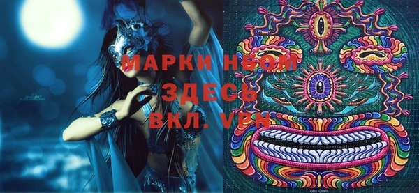 прущий лед Богданович