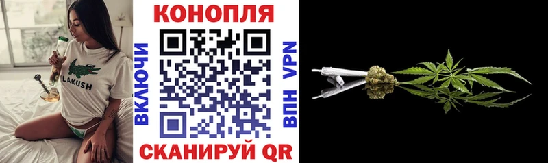 Канабис план  где продают наркотики  Кола 